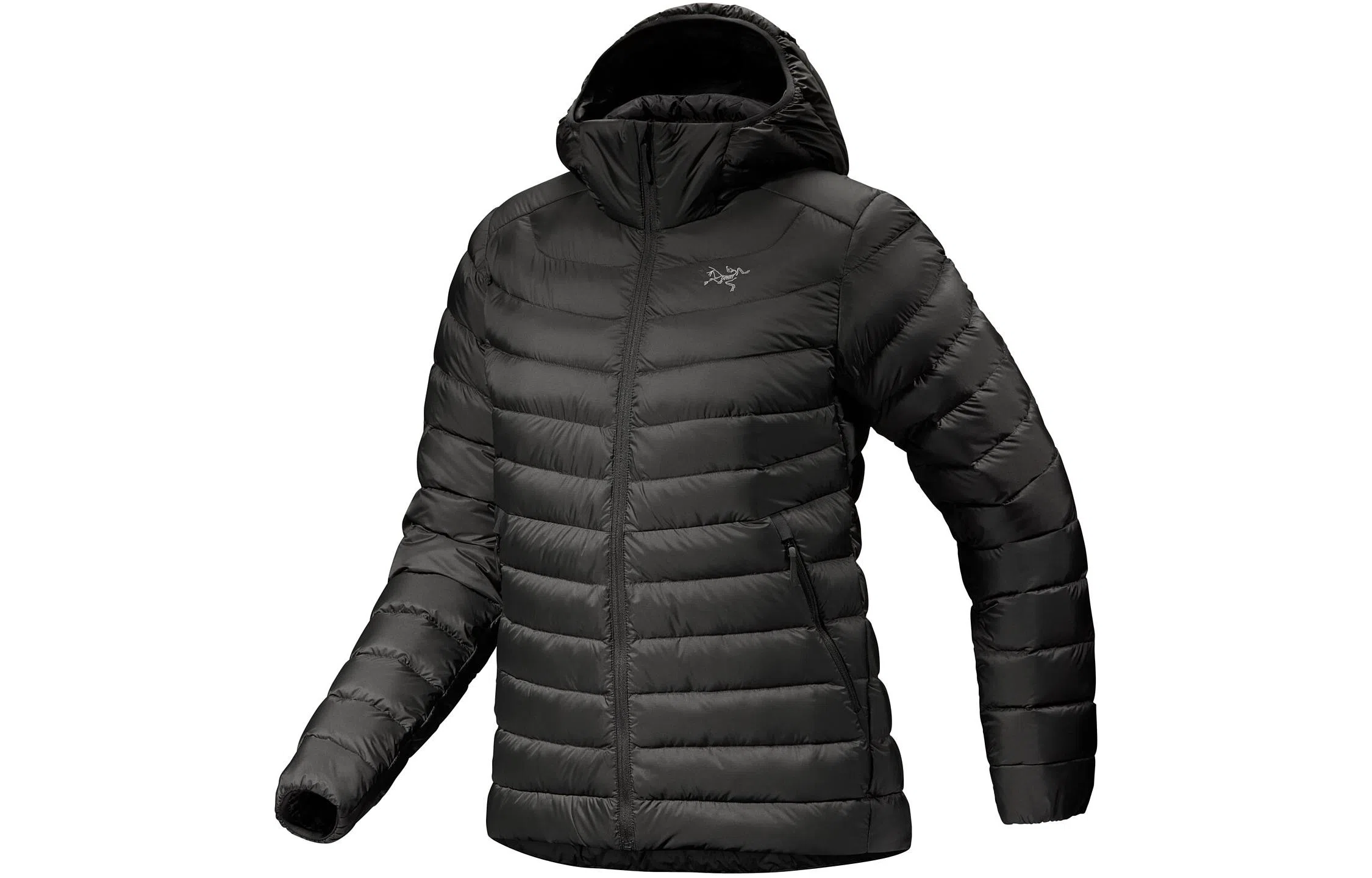 Arcteryx Cerium Hoody Logo