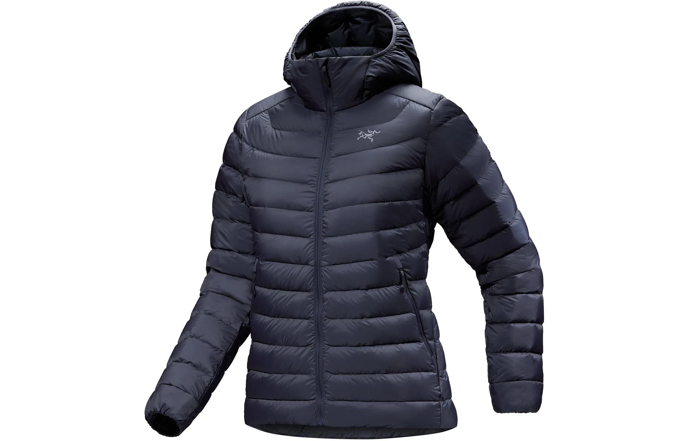 Arcteryx Cerium Hoody Logo