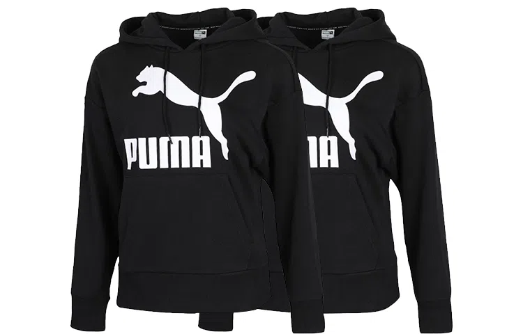 PUMA Classics Logo Hoody Regul Logo 2