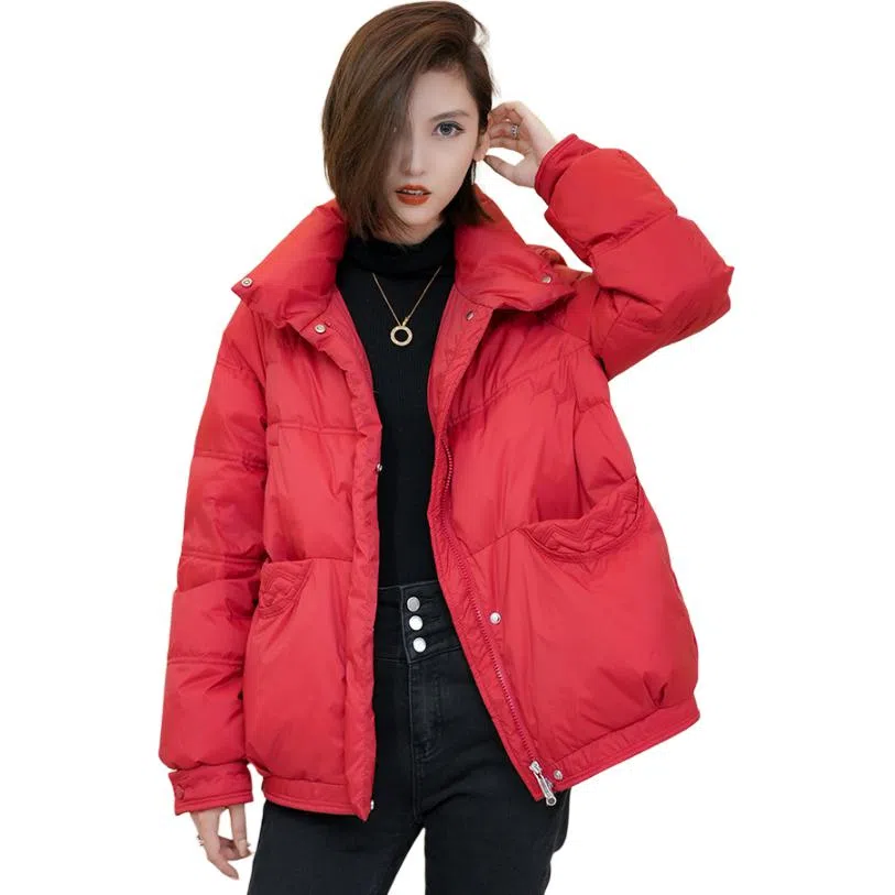 鸭鸭 立领无弹宽松拉链长袖保暖羽绒服 女款