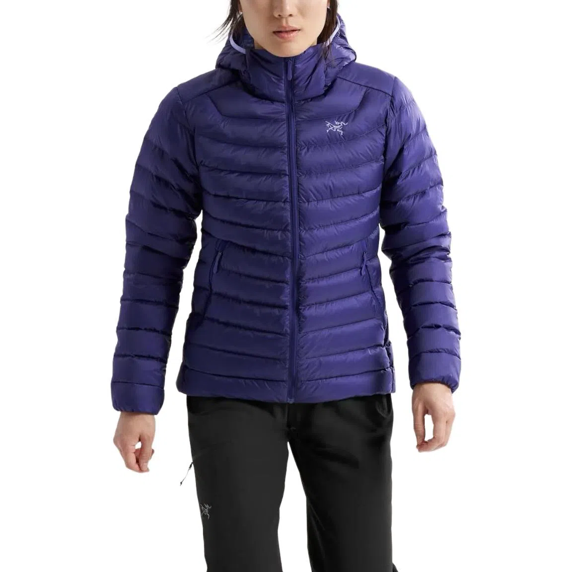 Arcteryx Cerium Hoody Logo