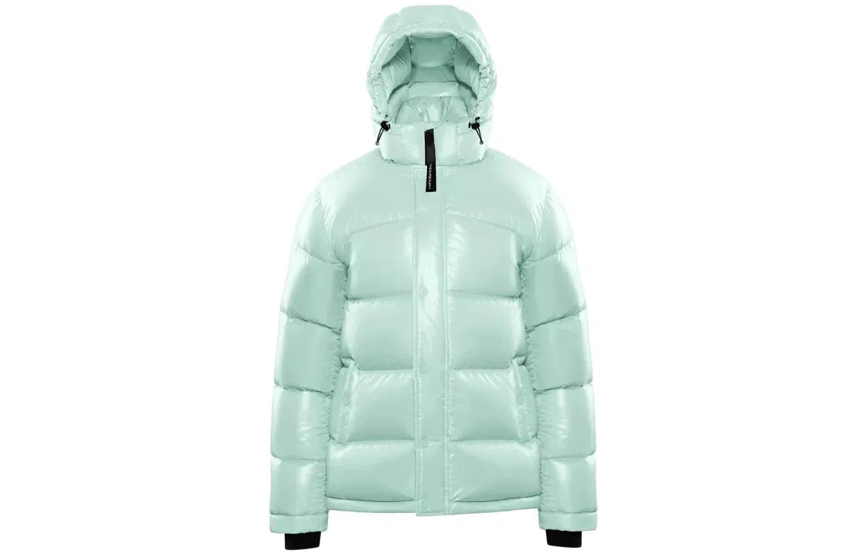 ARITZIA Super Puff Hi-Gloss