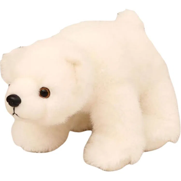 MORTEN SOLUM 20cm30cm