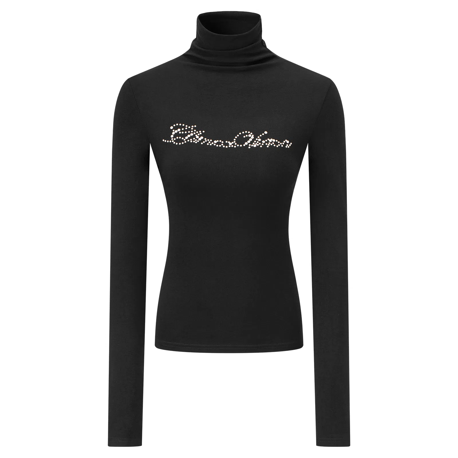 CLIMAX VISION logo T