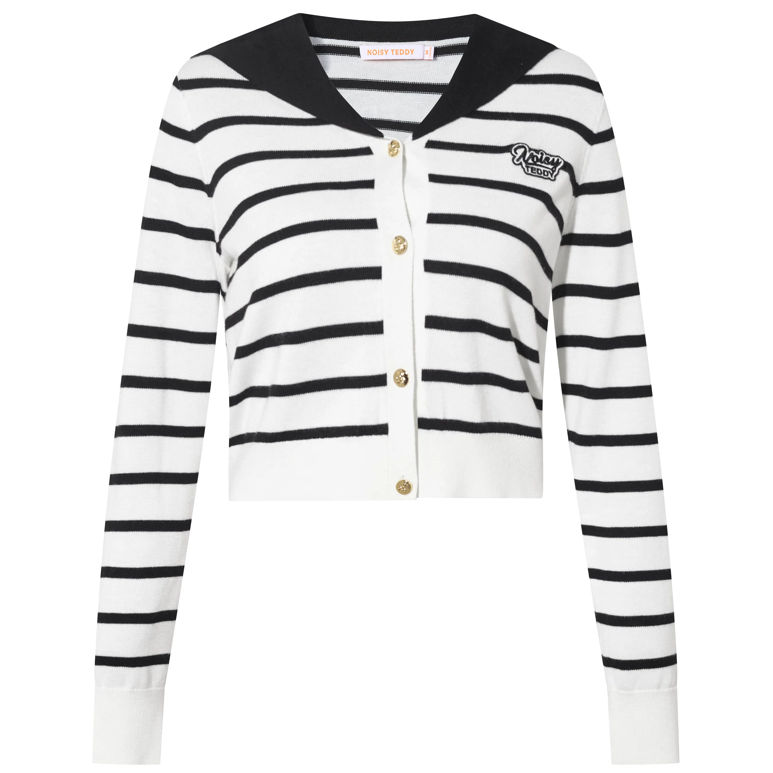 NOISY TEDDY