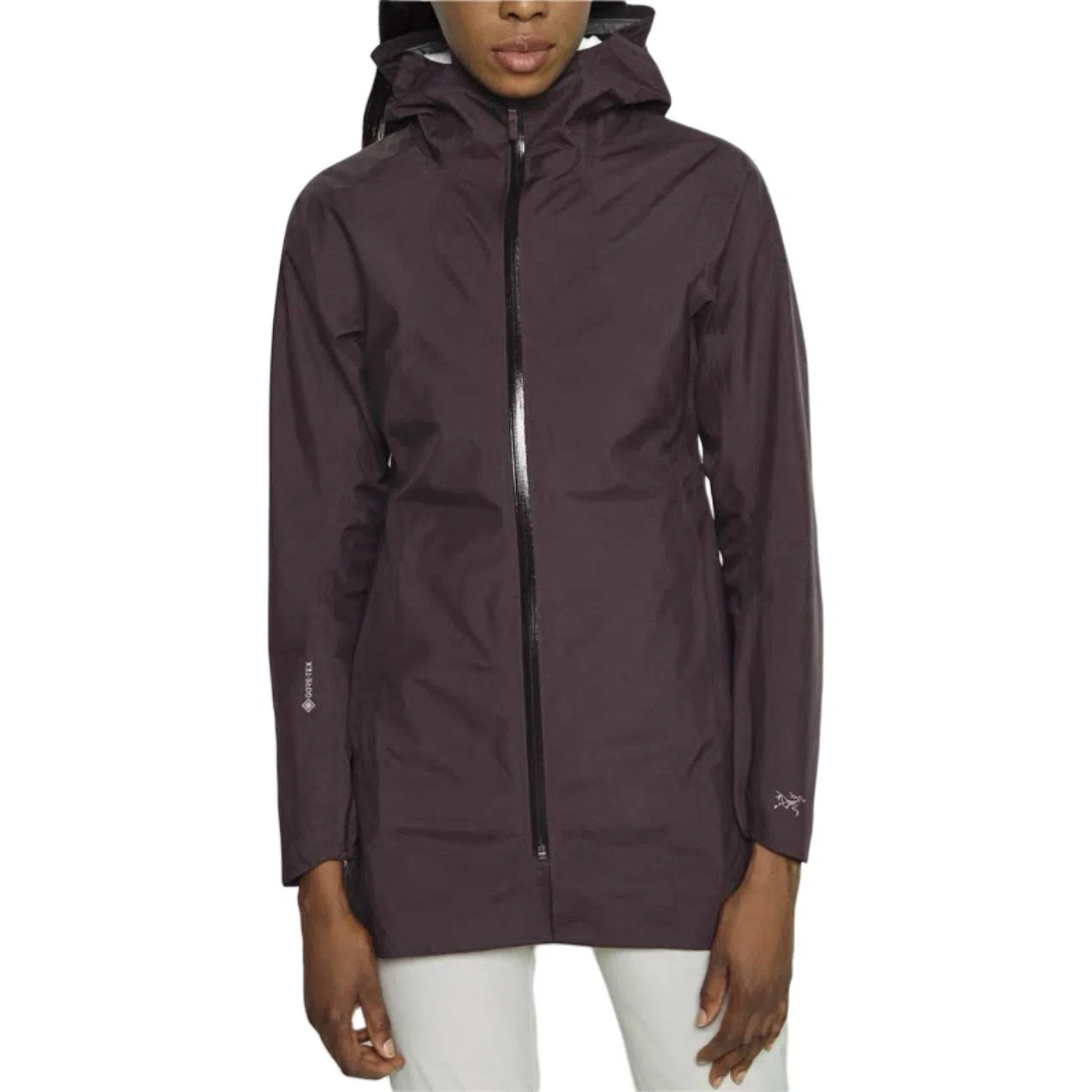 Arcteryx x PALACE Codetta Cinch Heathe Gore-tex