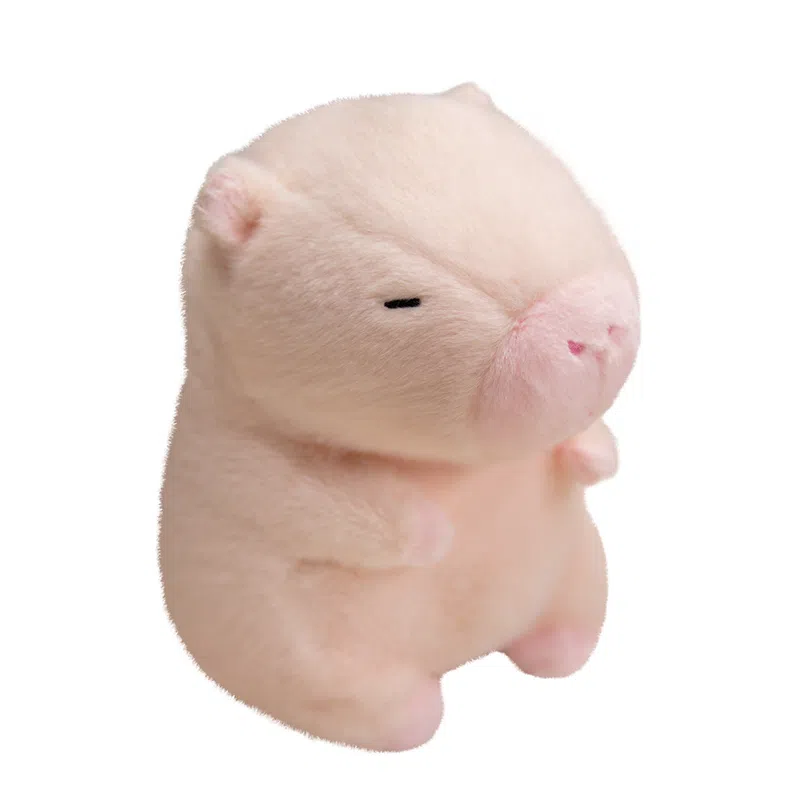 25cm
