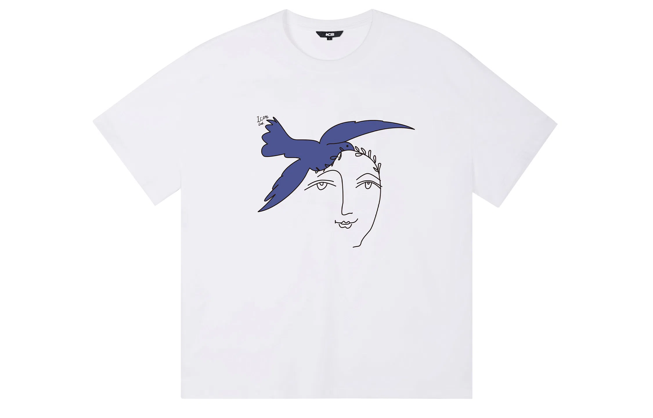 ICONS Lab ICS T