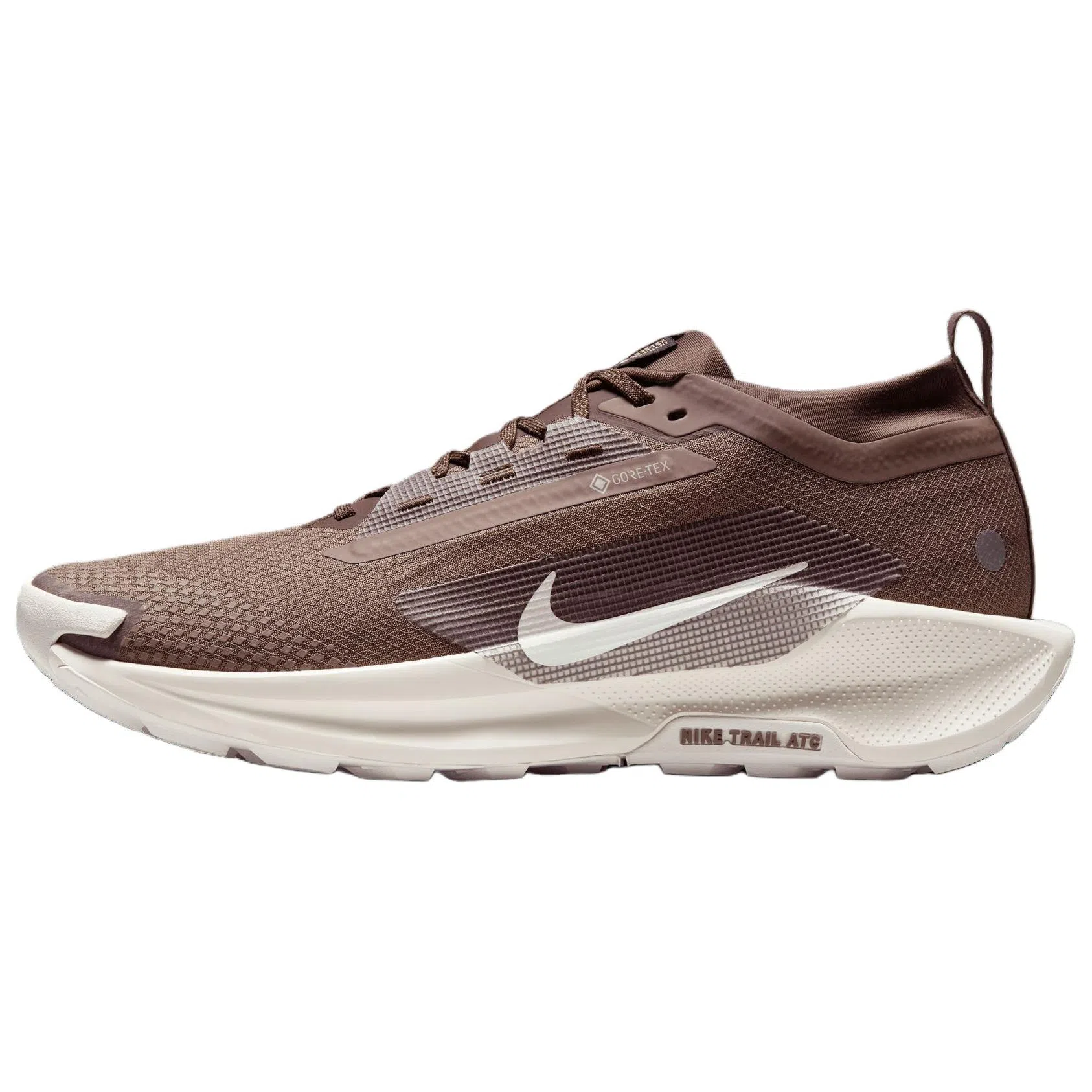 Nike Pegasus Trail 5 GORE-TEX