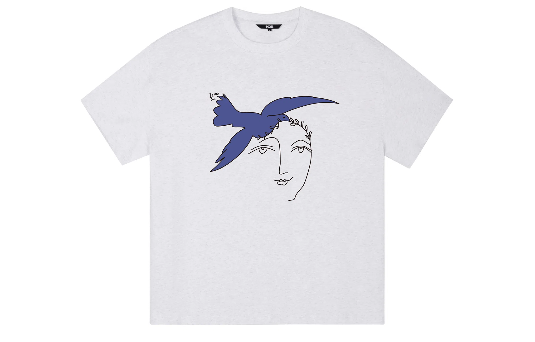 ICONS Lab ICS T