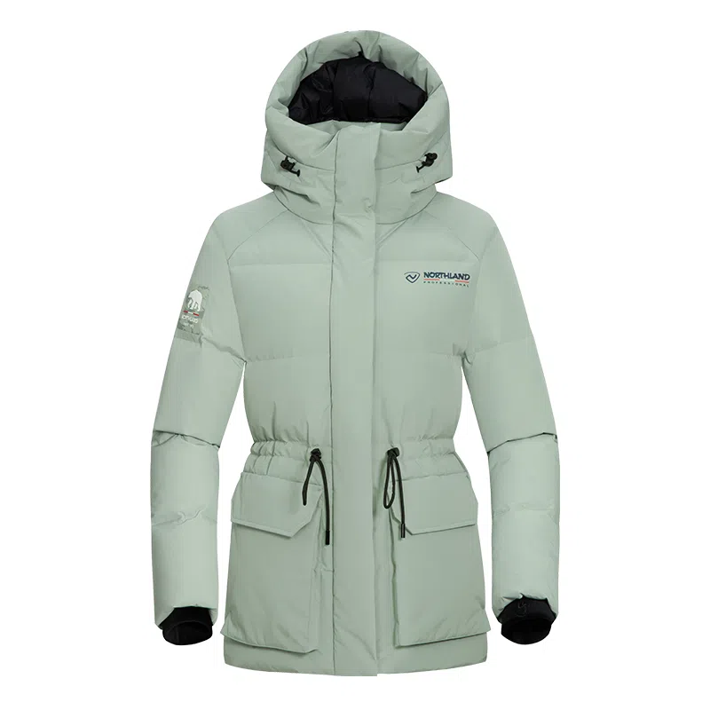 NORTHLAND PROFESSIONAL