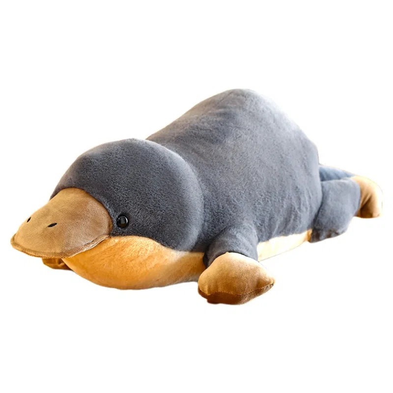 Brangdy 60cm70cm80cm90cm