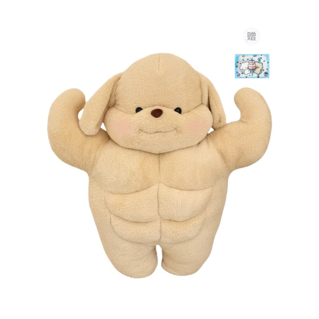 50cm