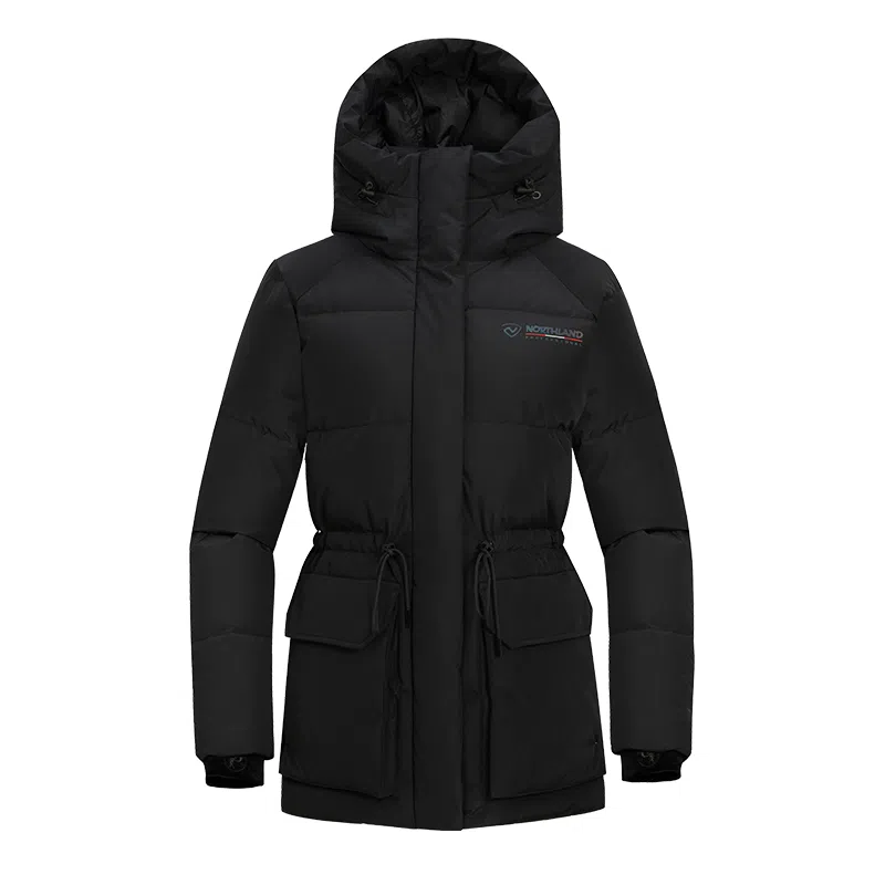 NORTHLAND PROFESSIONAL