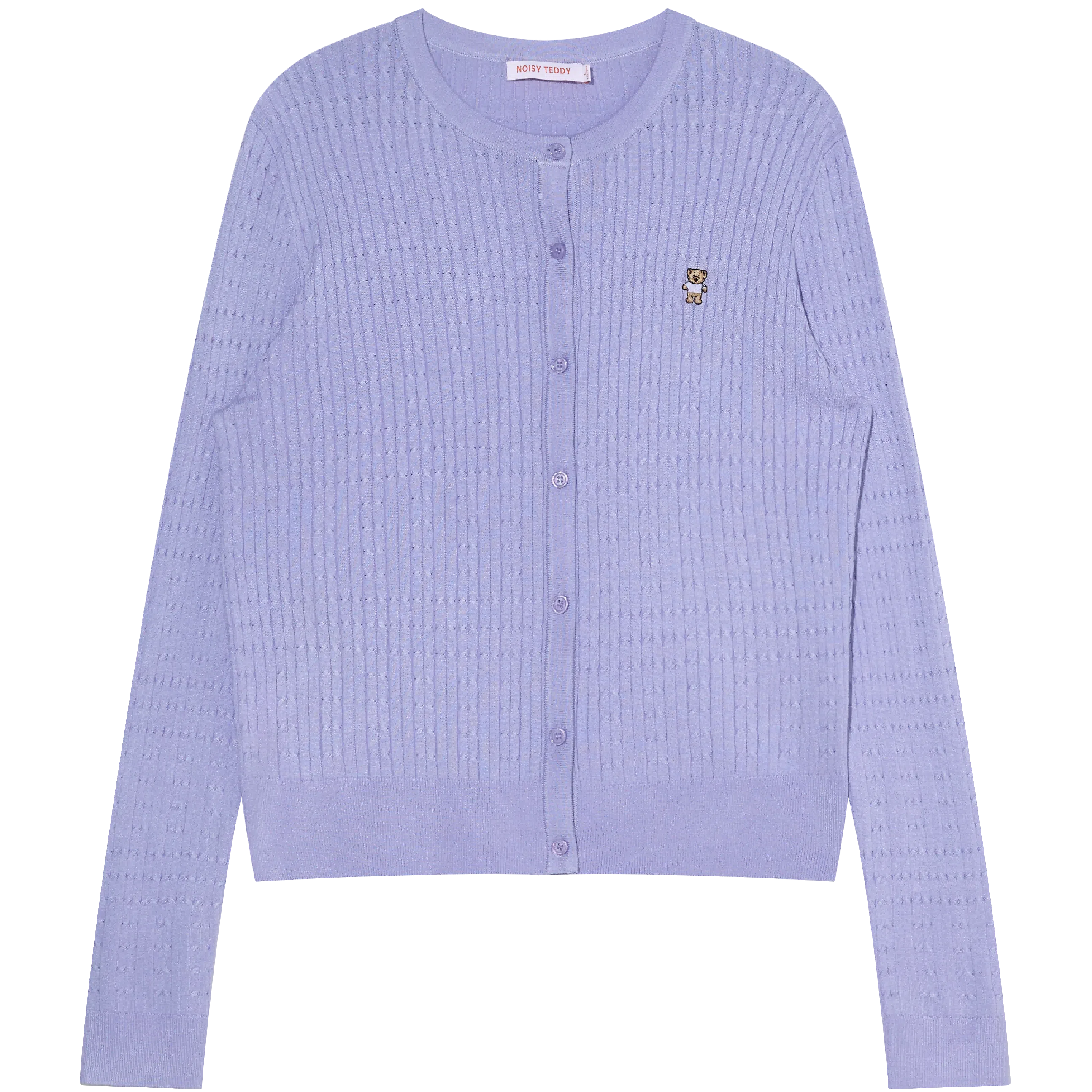 NOISY TEDDY