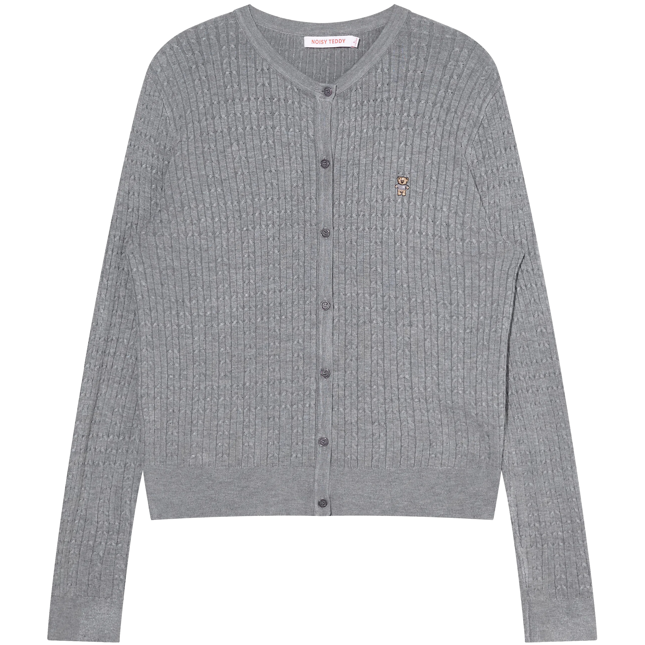 NOISY TEDDY