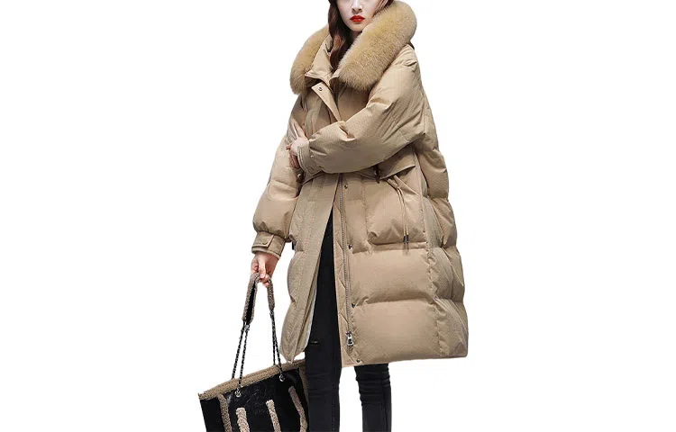 鸭鸭 纯色连帽通勤拉链加厚长袖羽绒服 女款