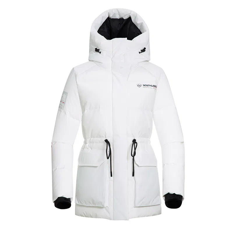 NORTHLAND PROFESSIONAL