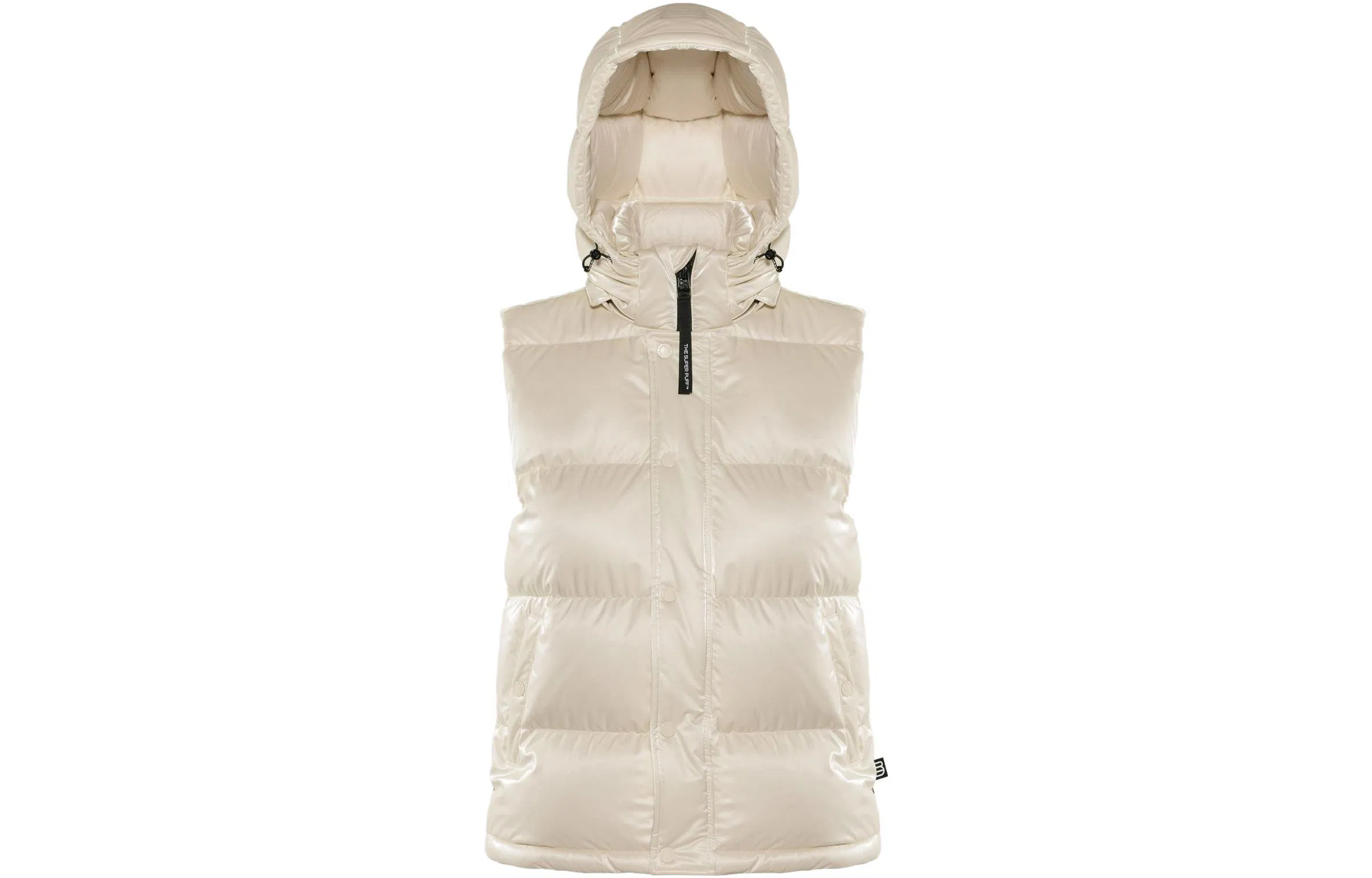 Aritzia Super Puff Liquid Shine