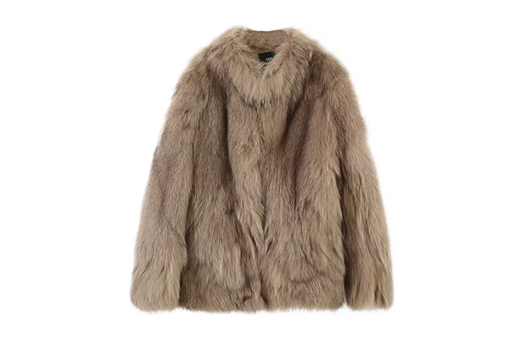 coco limited thin girl SAGA