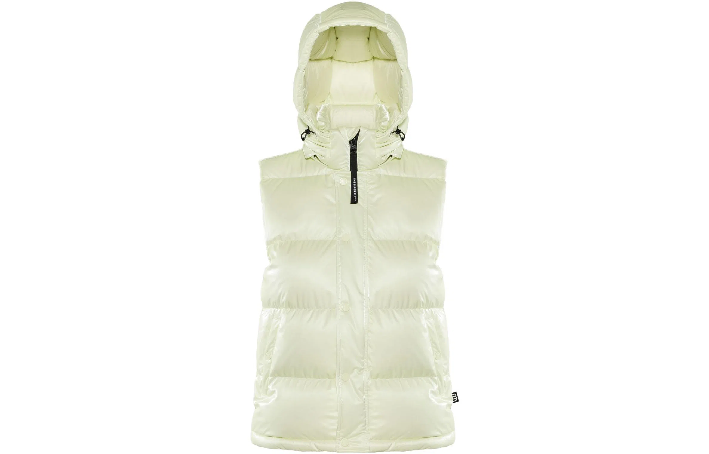 Aritzia Super Puff Liquid Shine