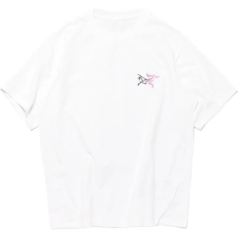 Arcteryx Kragg cottonT