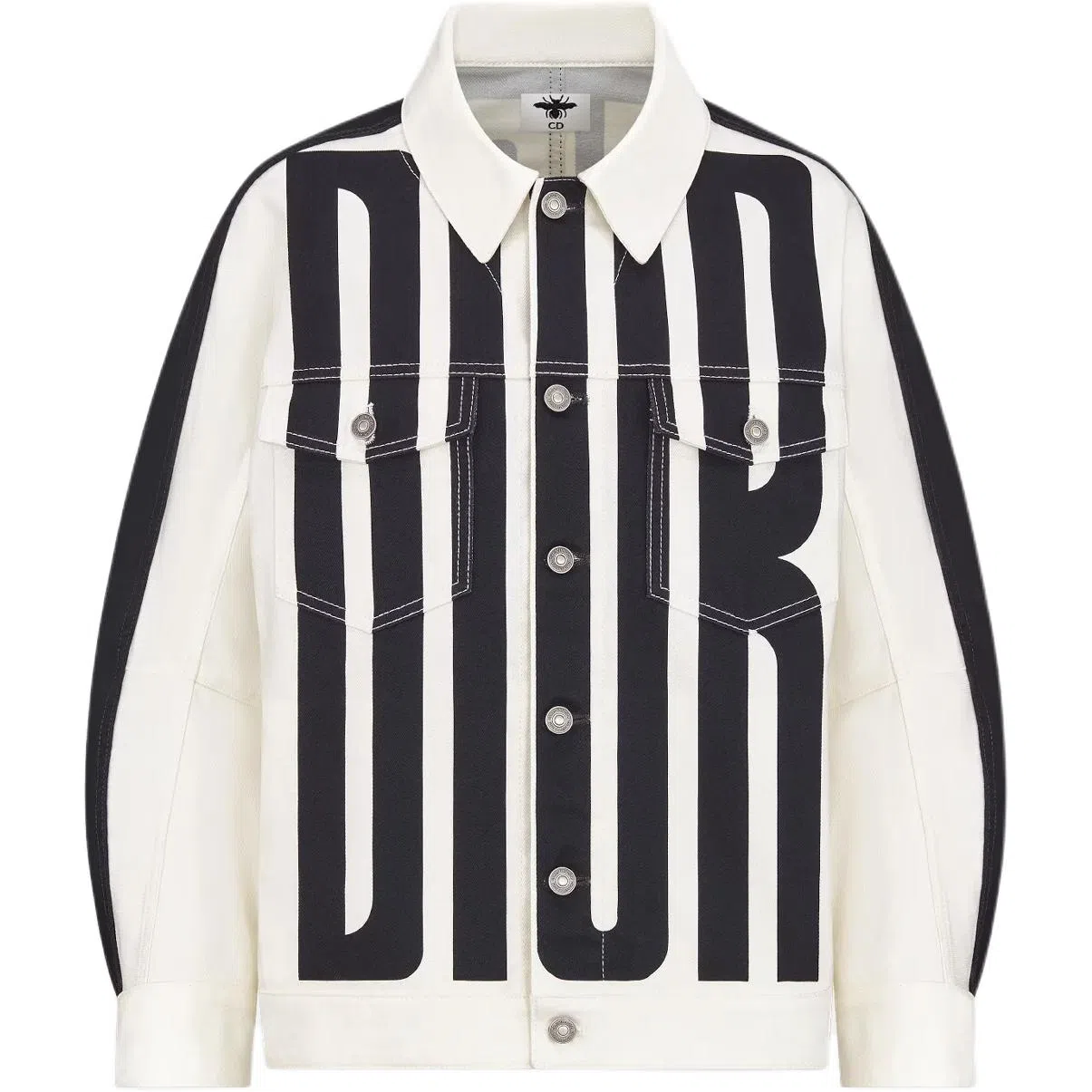 DIOR SS25 Logo