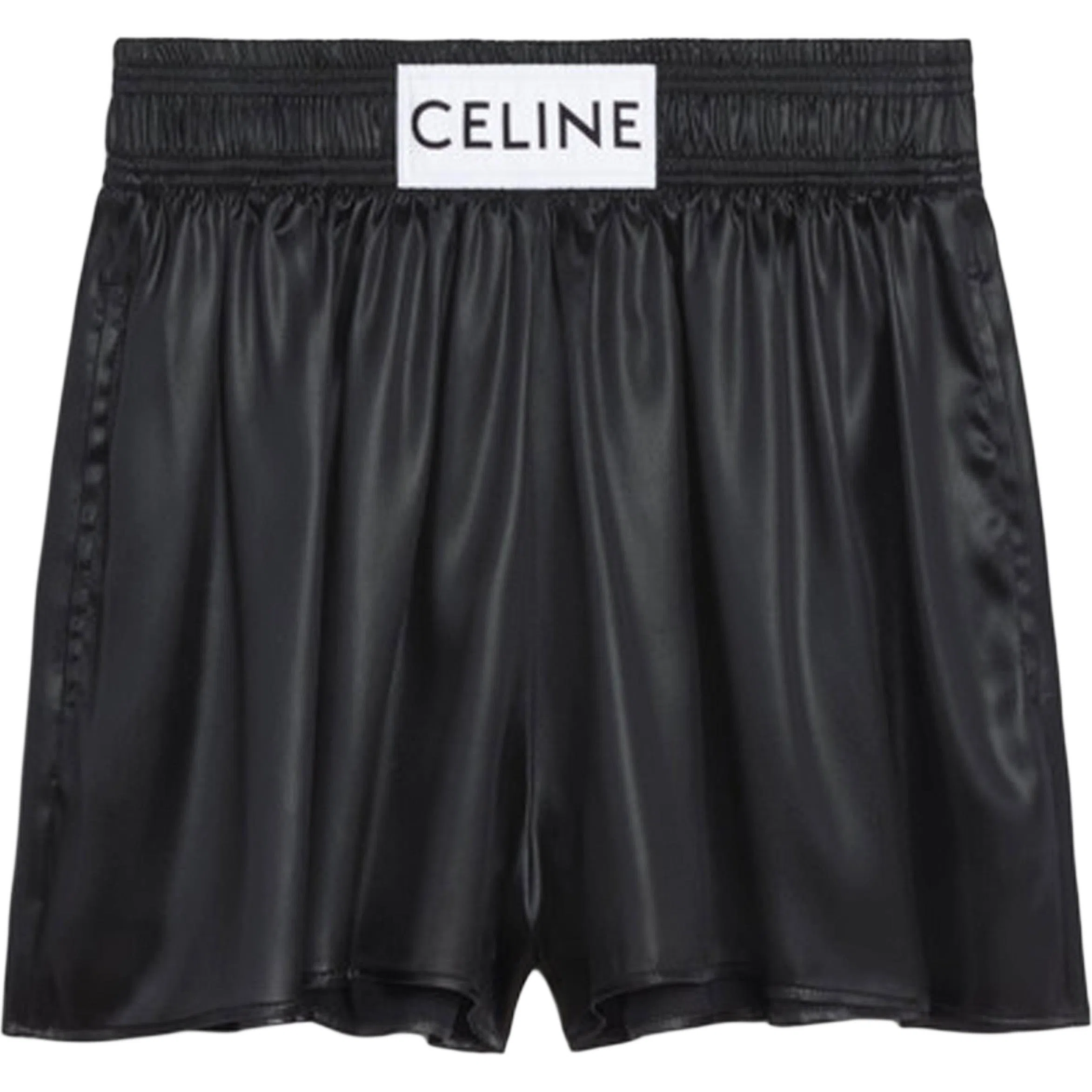 CELINE FW22 ogo