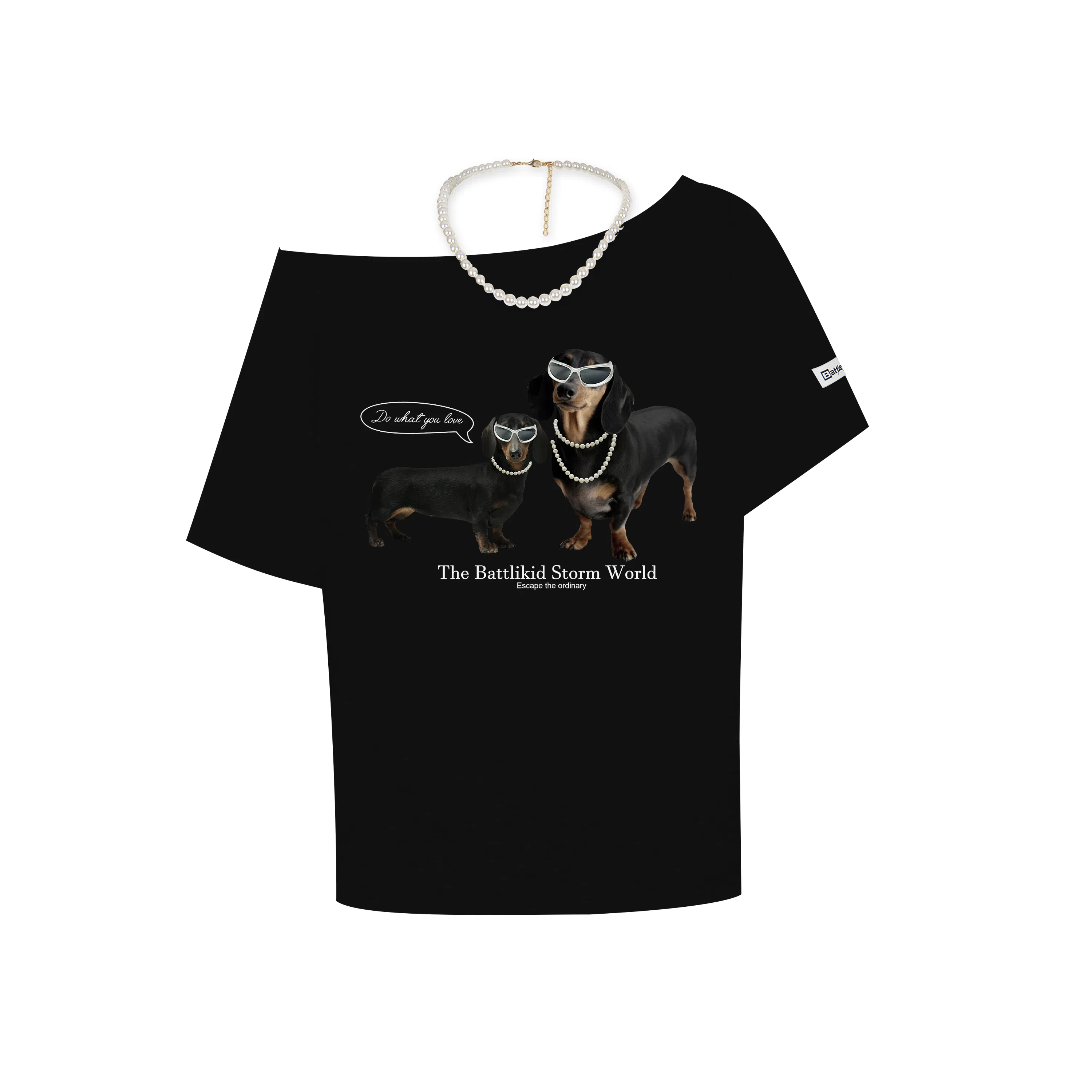 FOASIS T