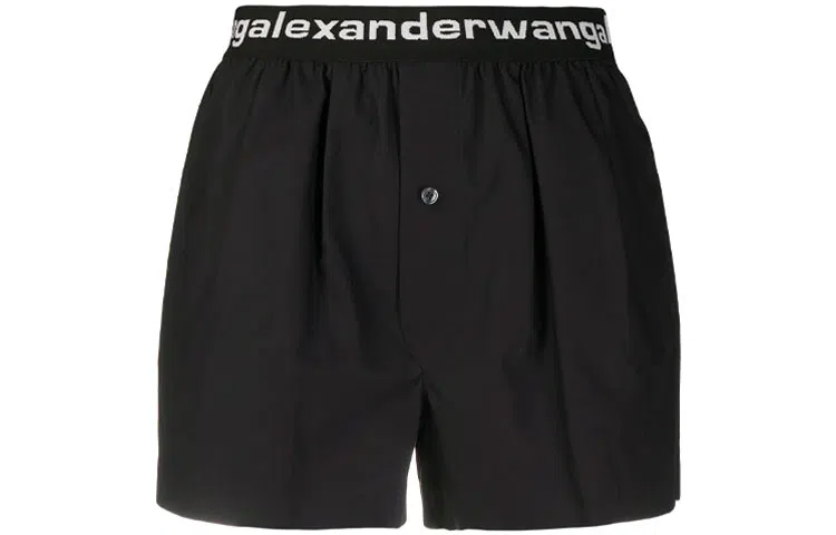 alexander wang Logo