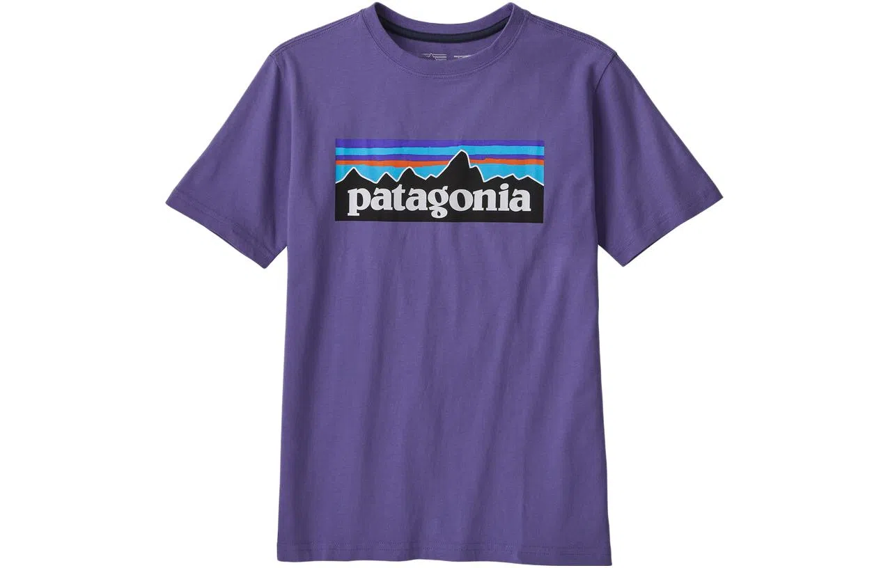 patagonia T