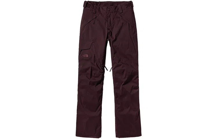 The North Face DryVent Ski Pants