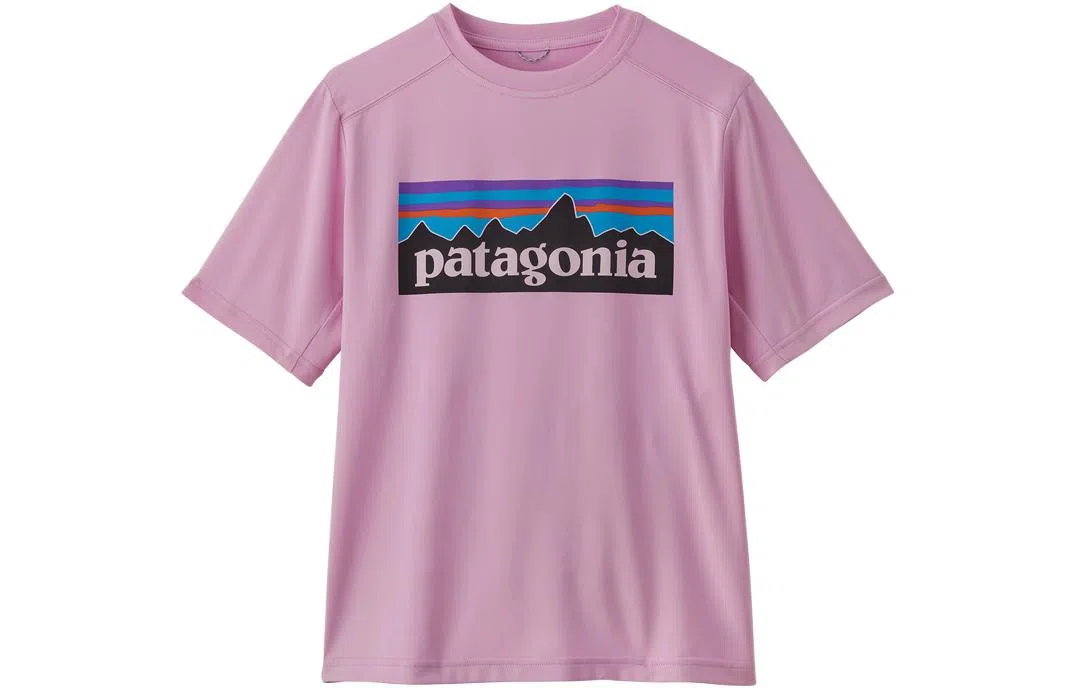 patagonia T