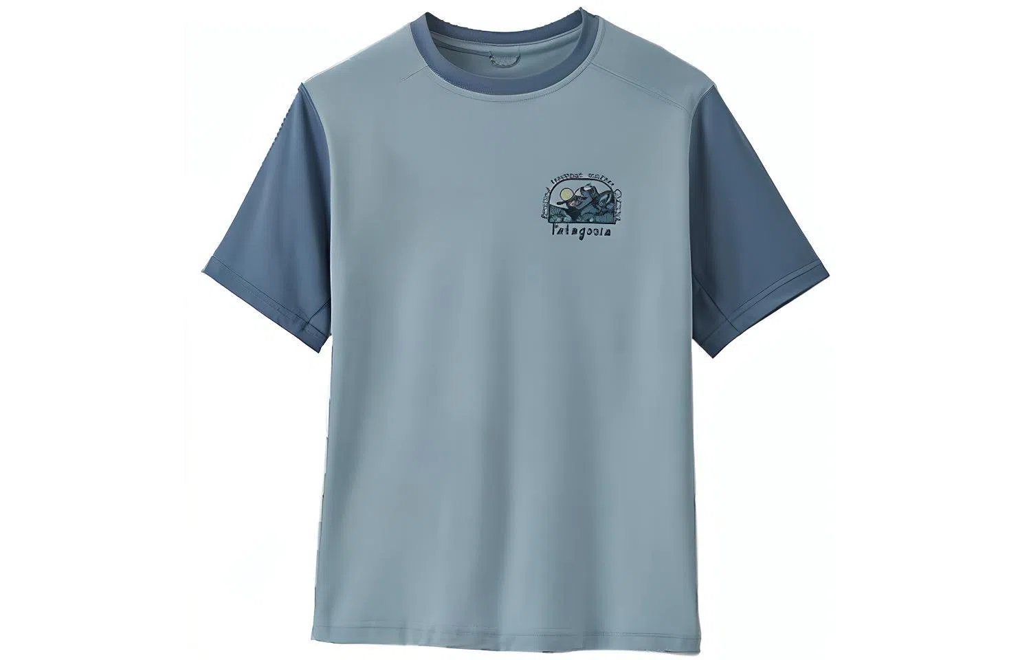 patagonia T