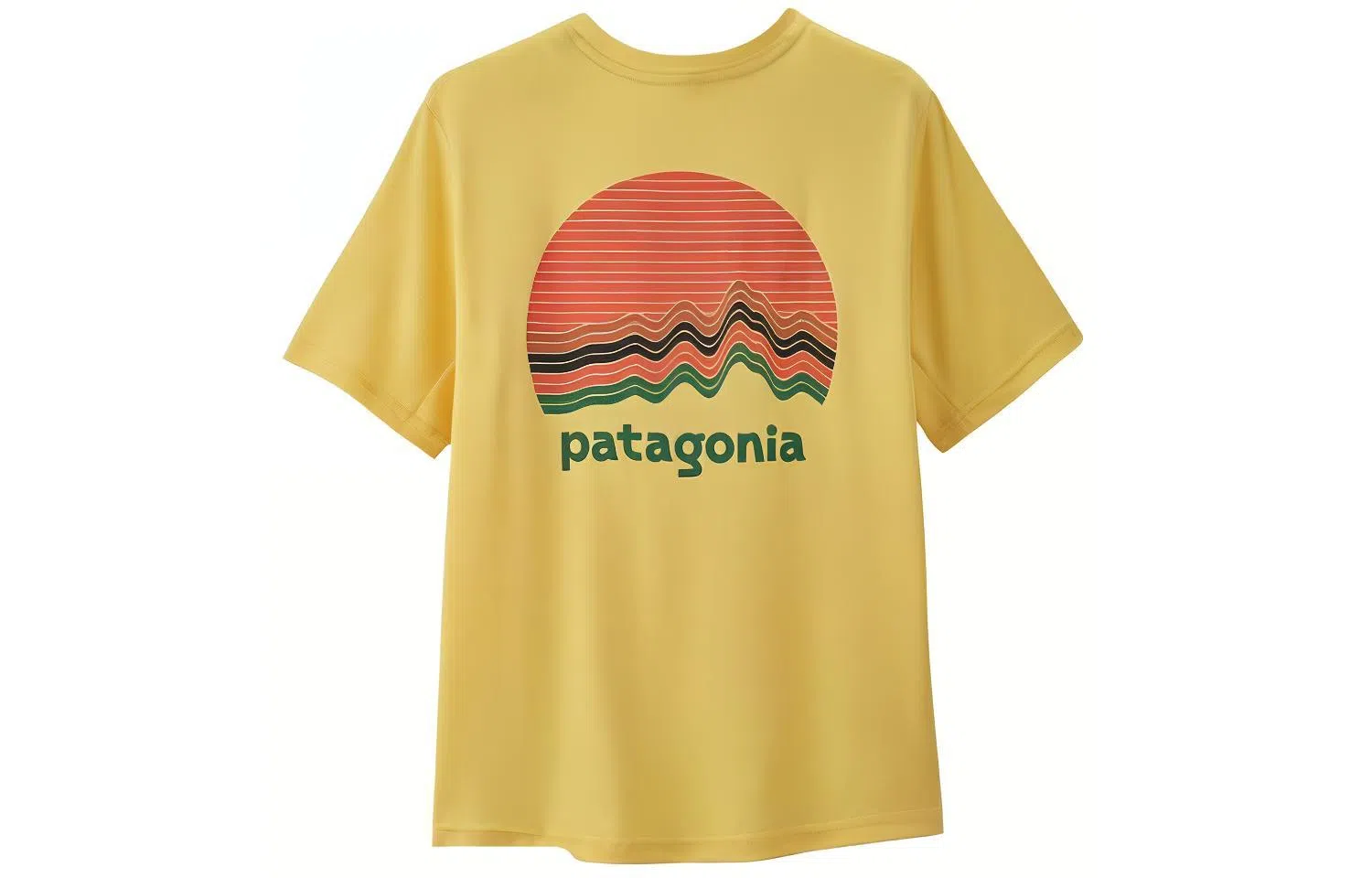 patagonia T