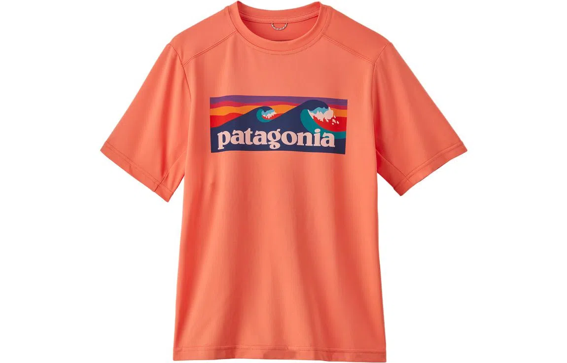 patagonia T