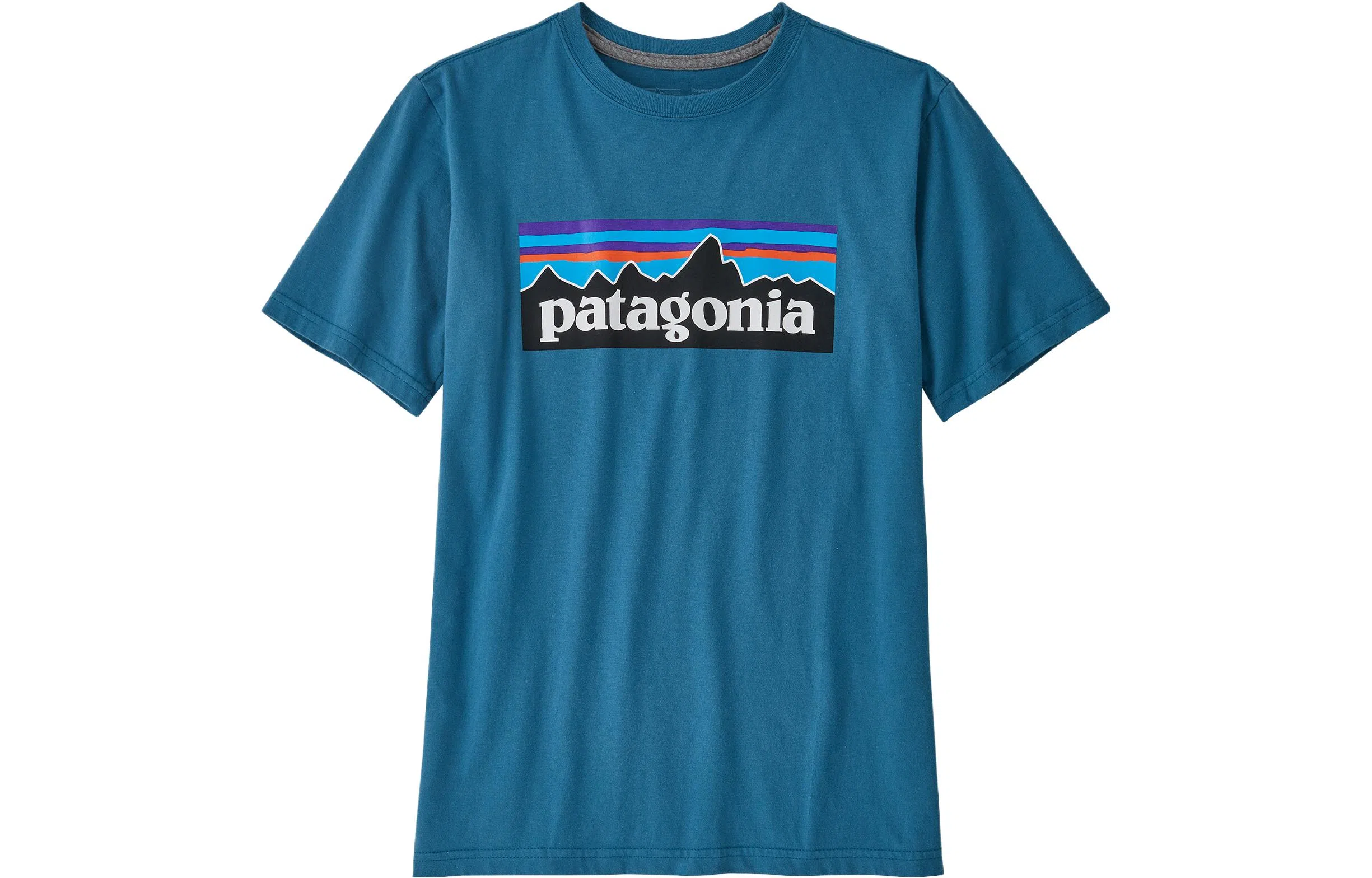 patagonia T