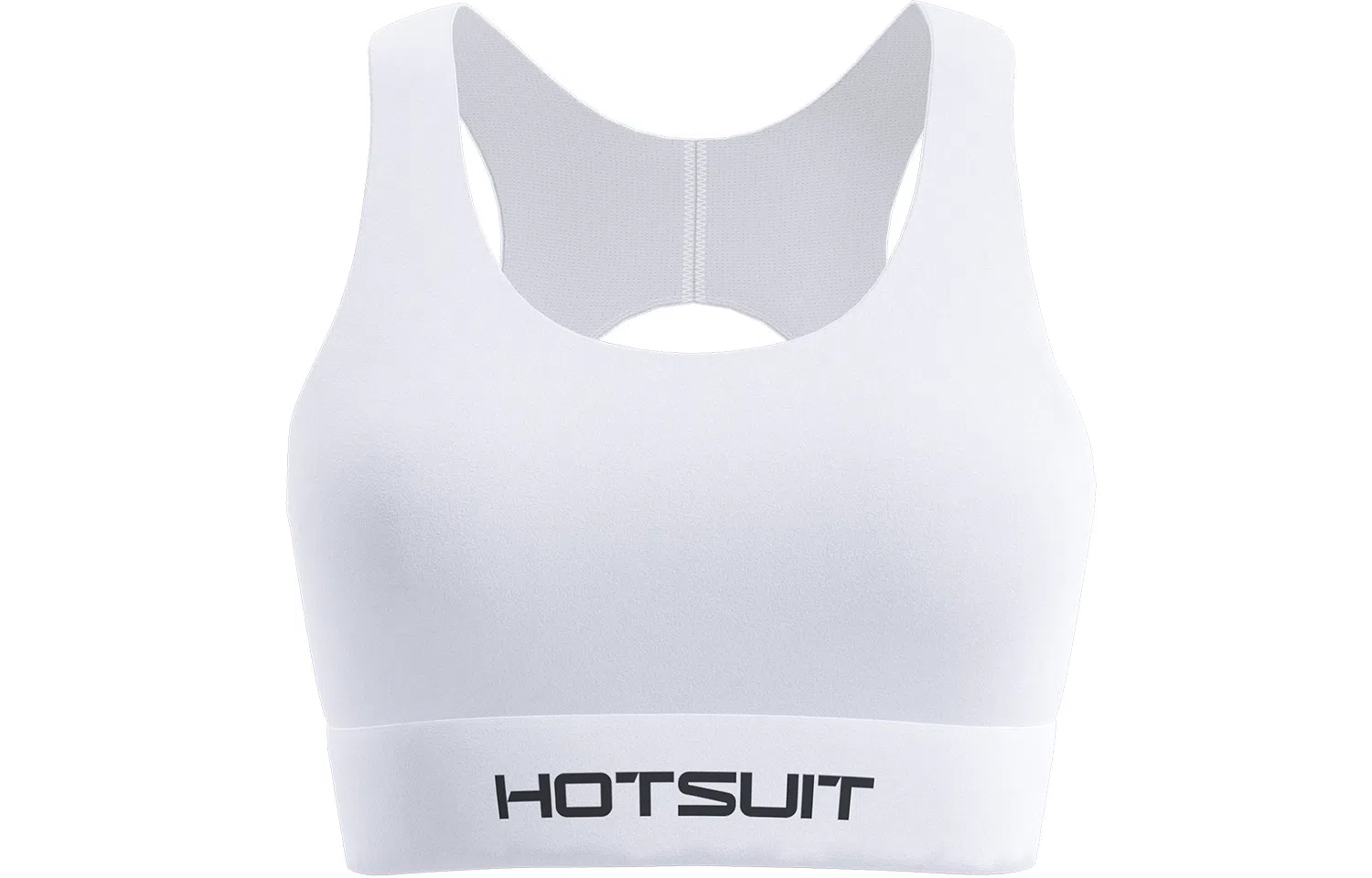 HOTSUIT Logo