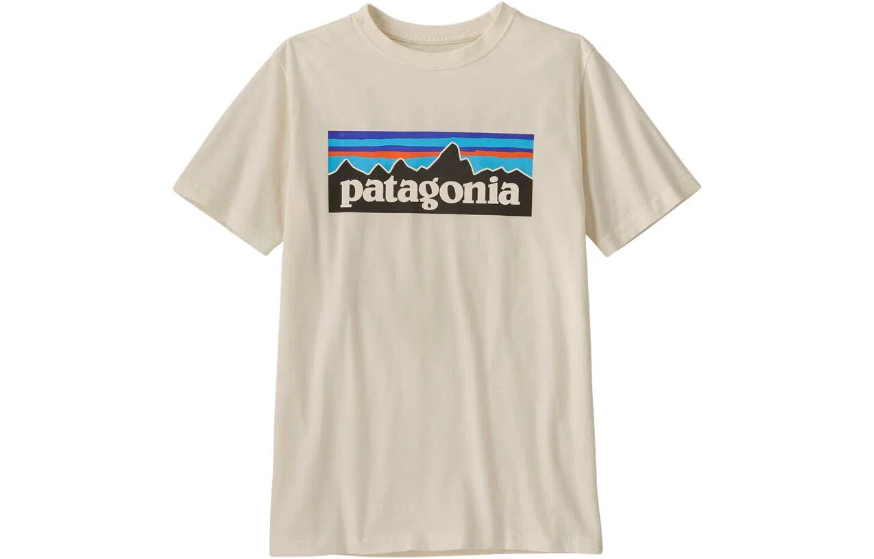 patagonia T