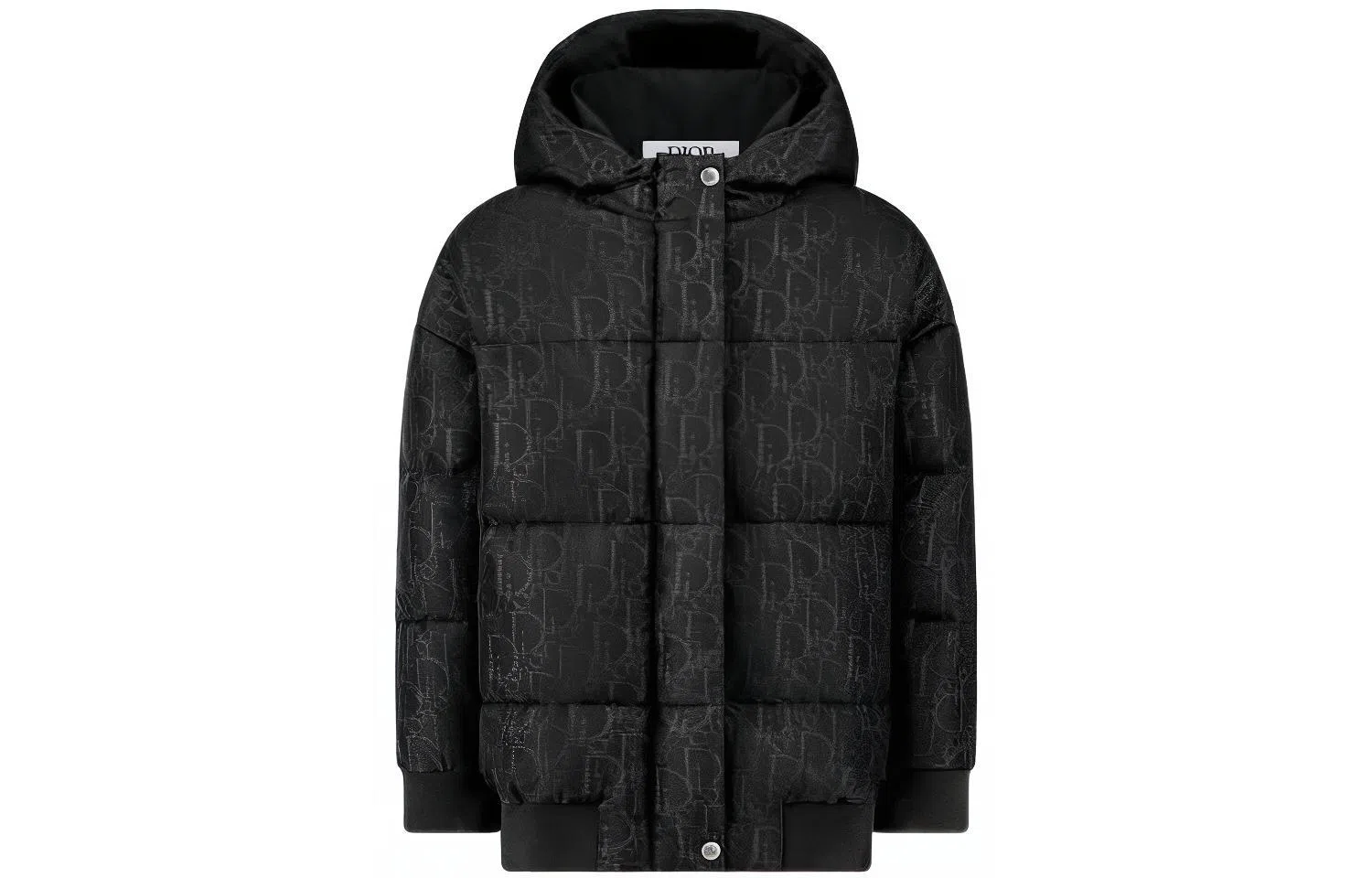 DIOR FW22 Logo