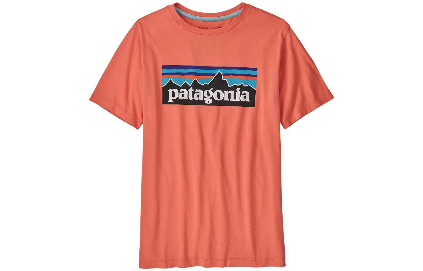 patagonia T