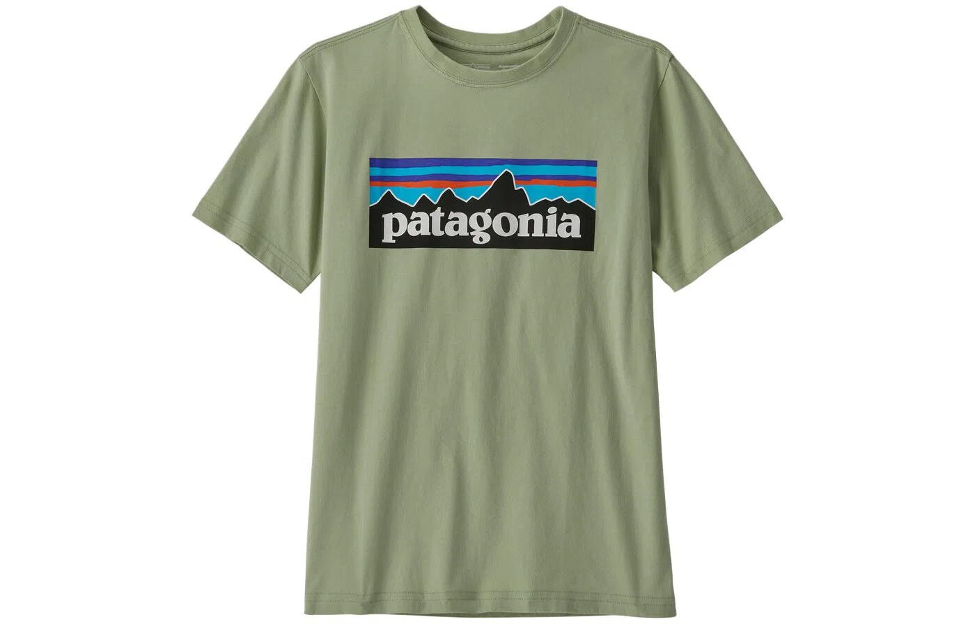 patagonia T