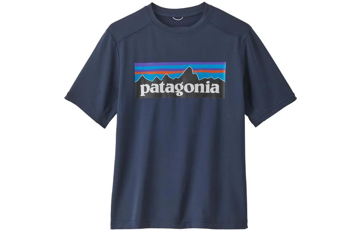 patagonia T