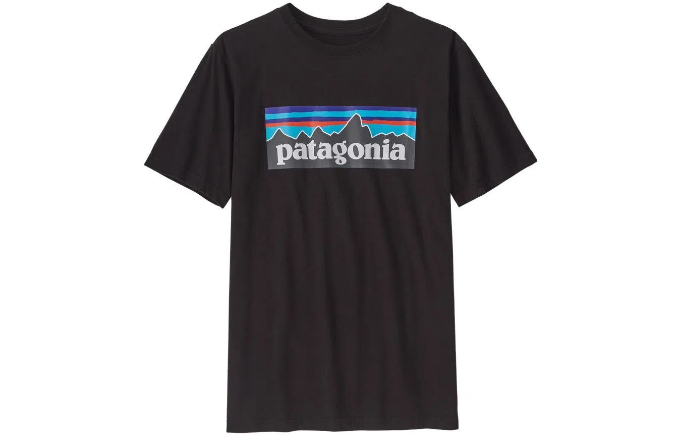 patagonia T