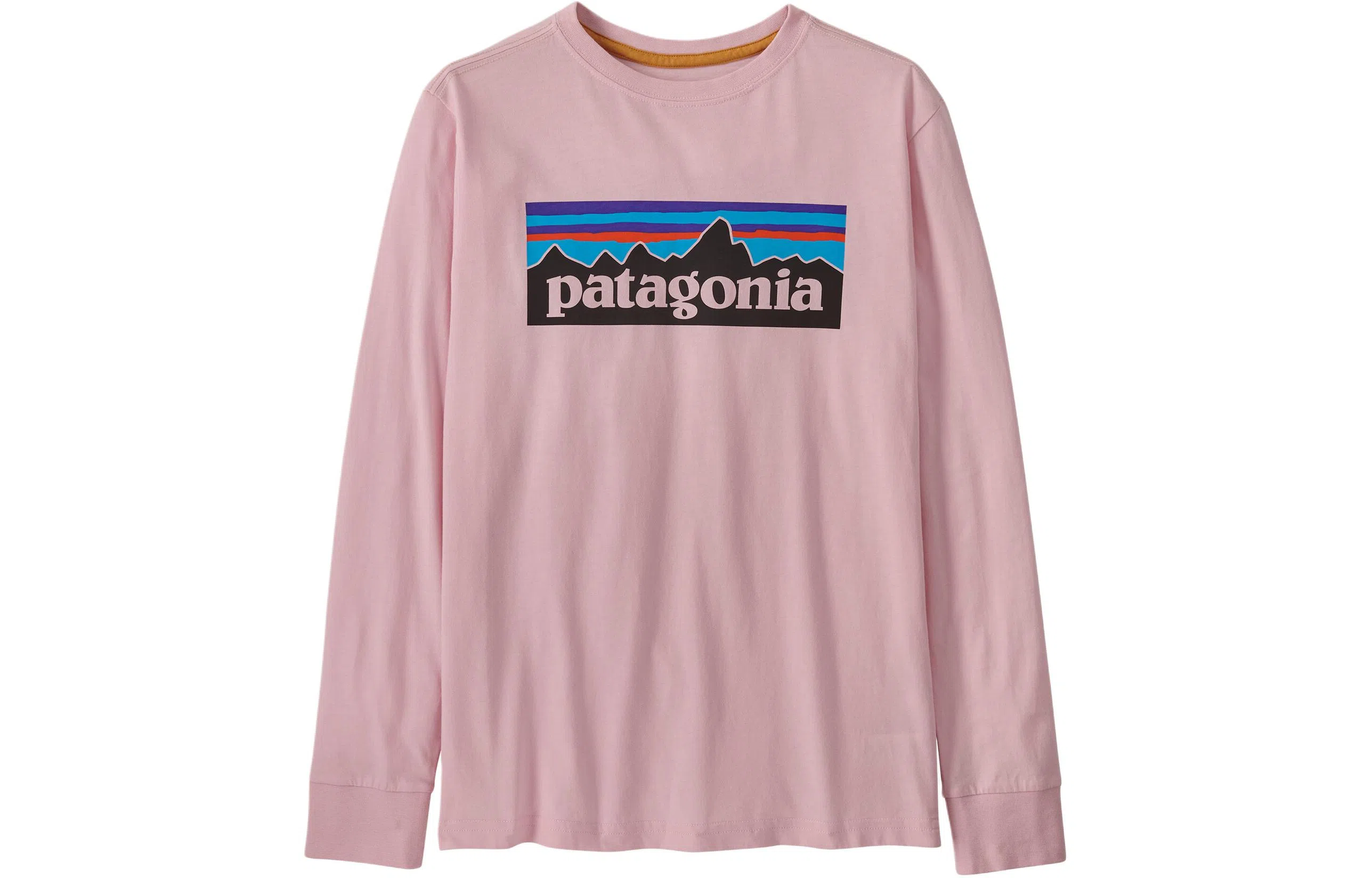 patagonia T