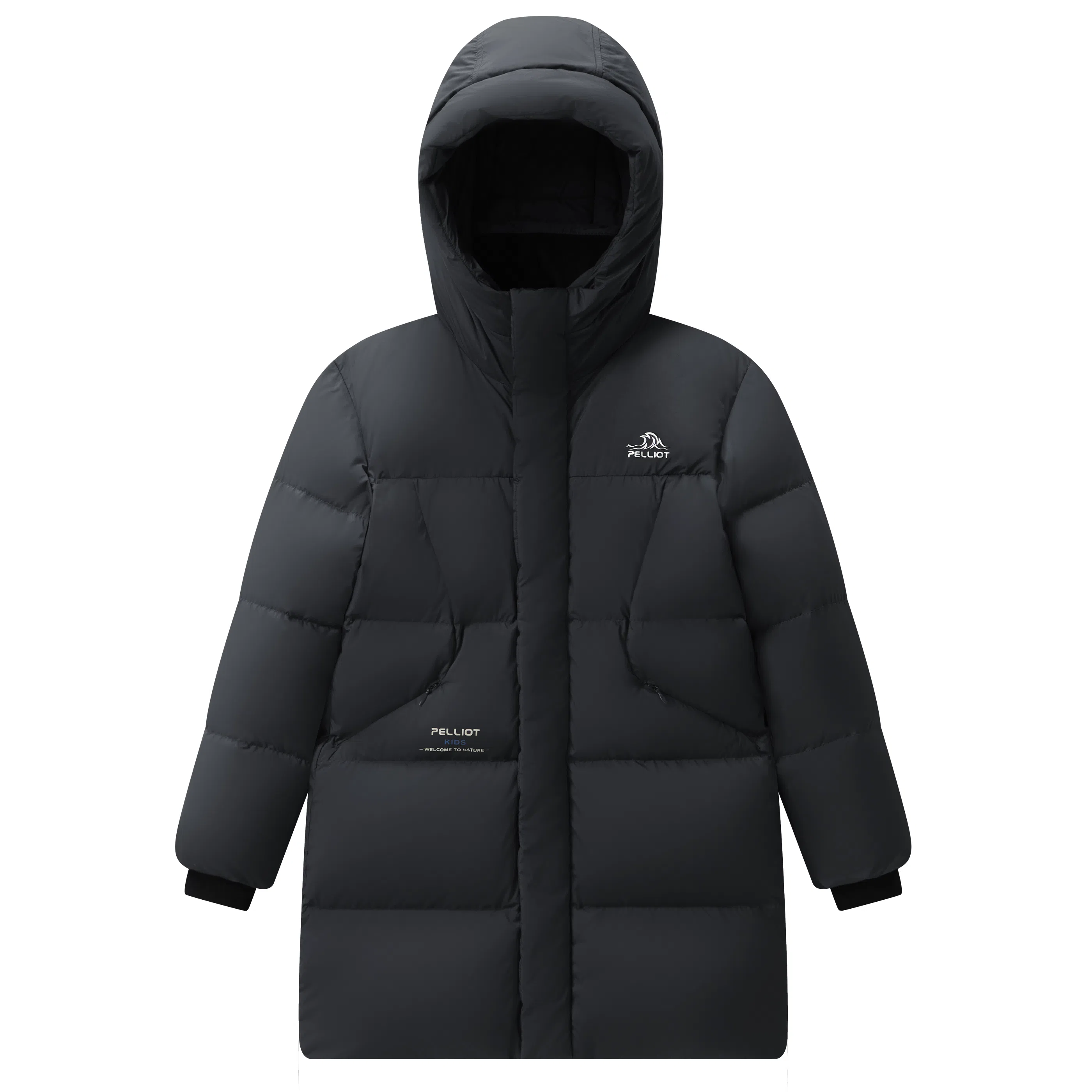 PELLIOT 650