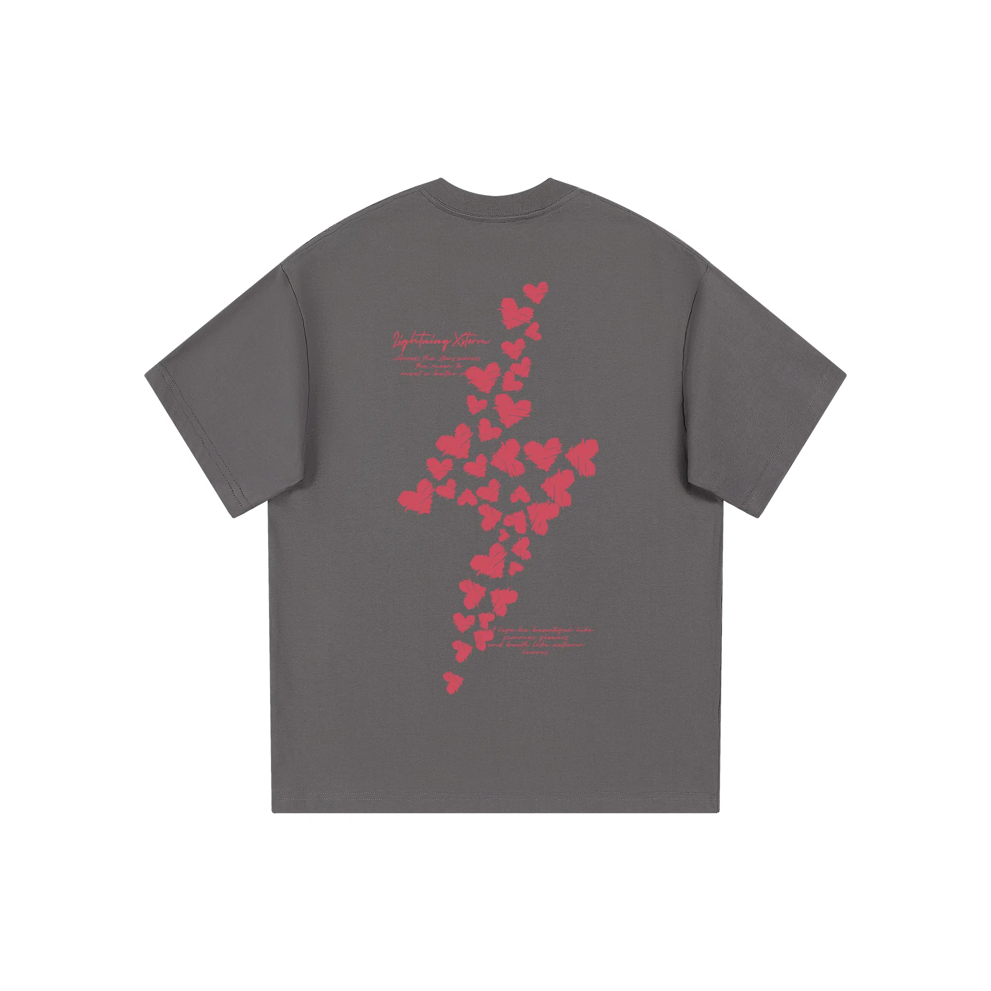 Lightning X Storm T