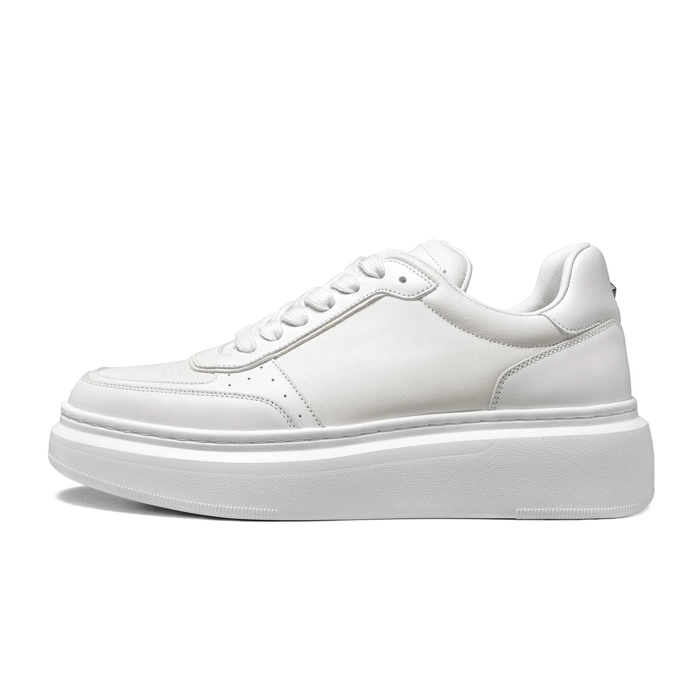 THOM WILLS trainer