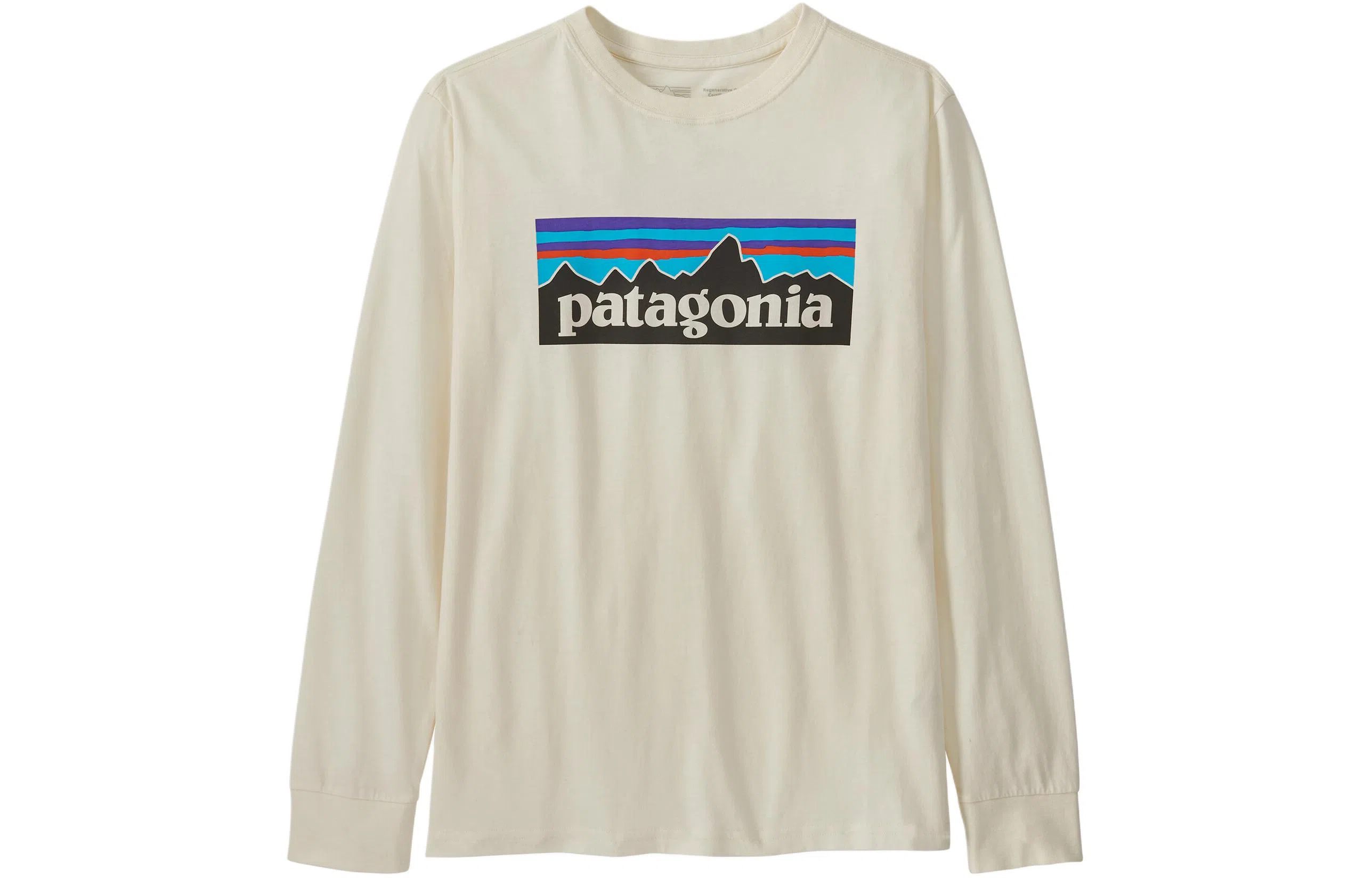 patagonia T