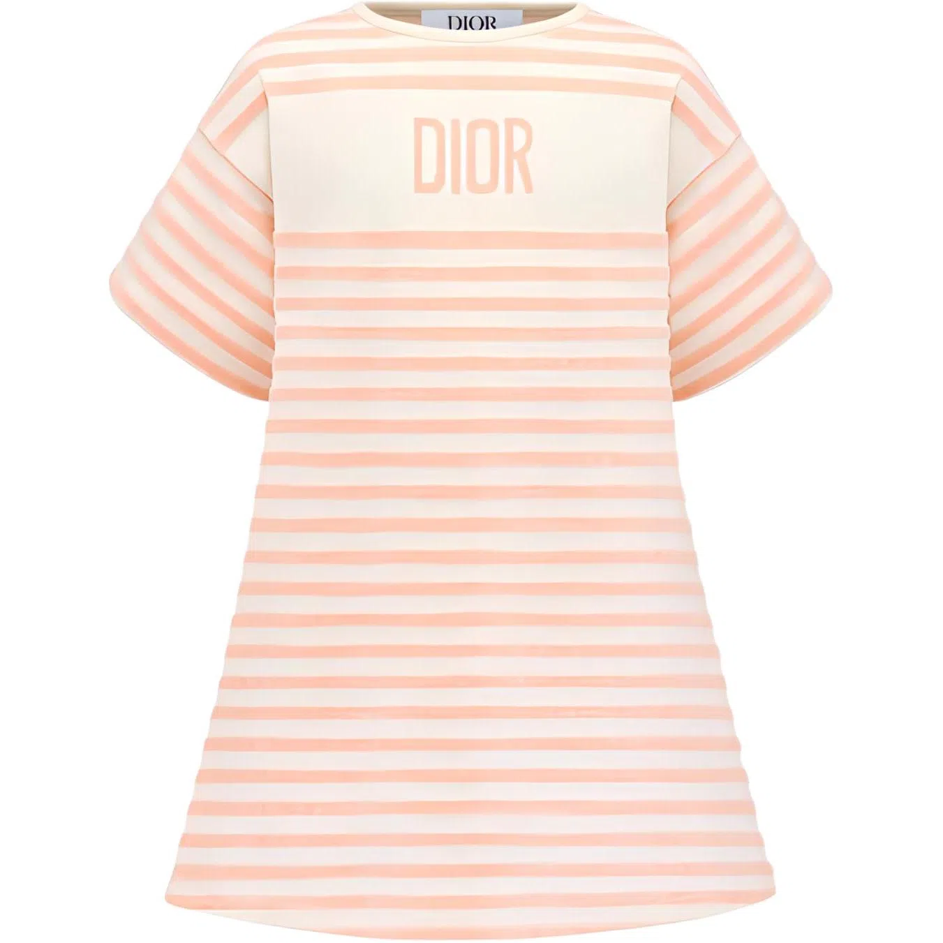 DIOR SS23 Logo